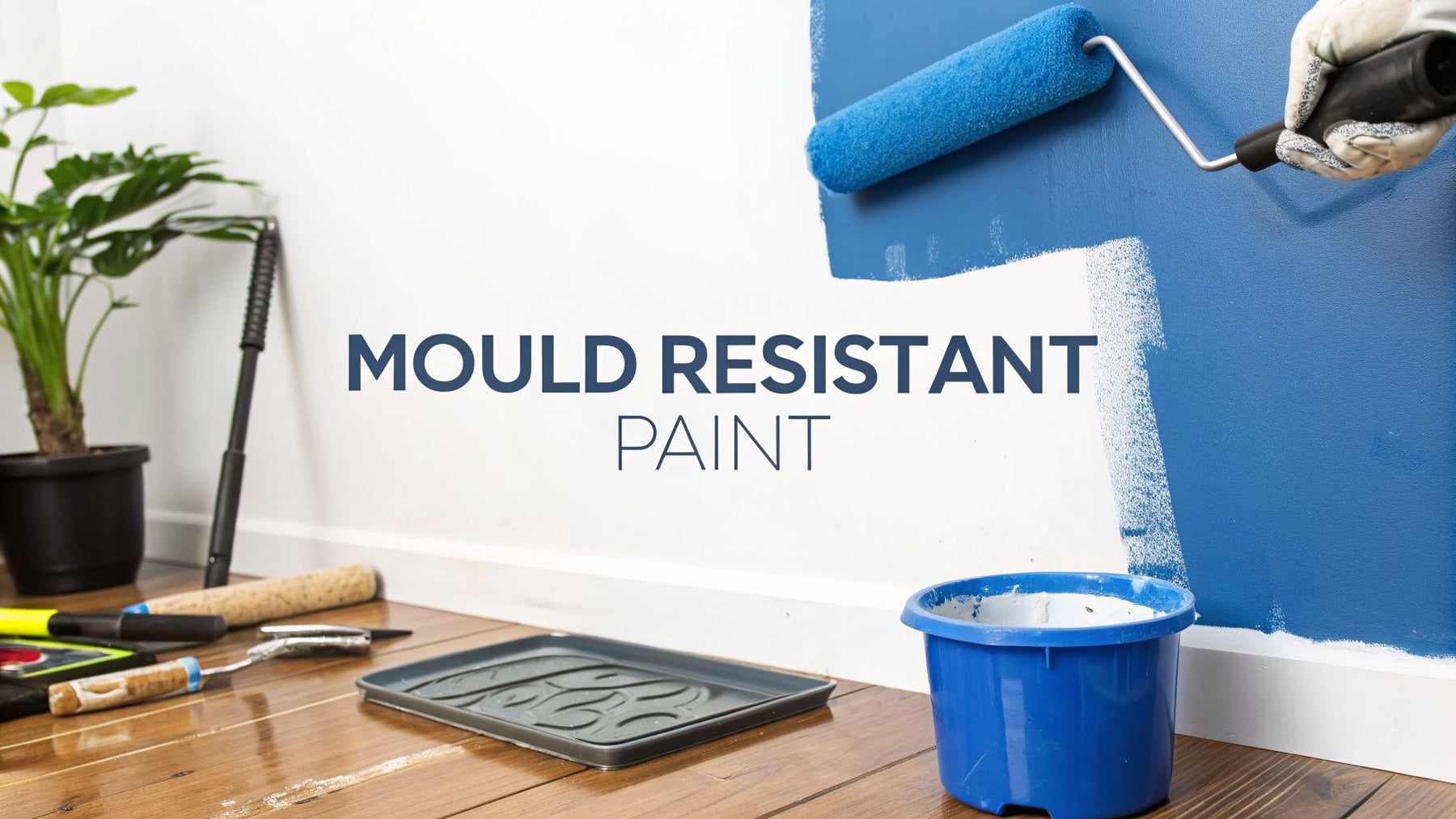 Mould Resistant Paint: Your 2026 Guide to Mould Resistant Paint