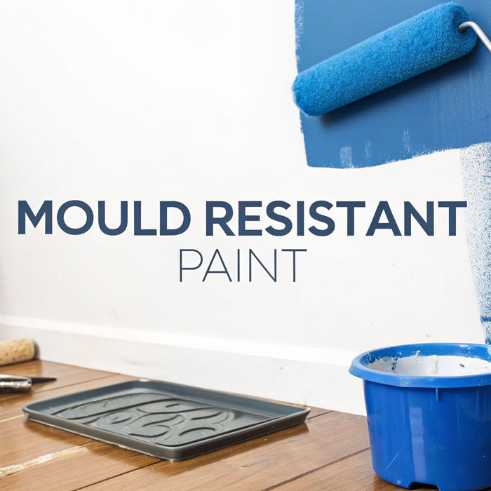 Mould Resistant Paint: Your 2026 Guide to Mould Resistant Paint